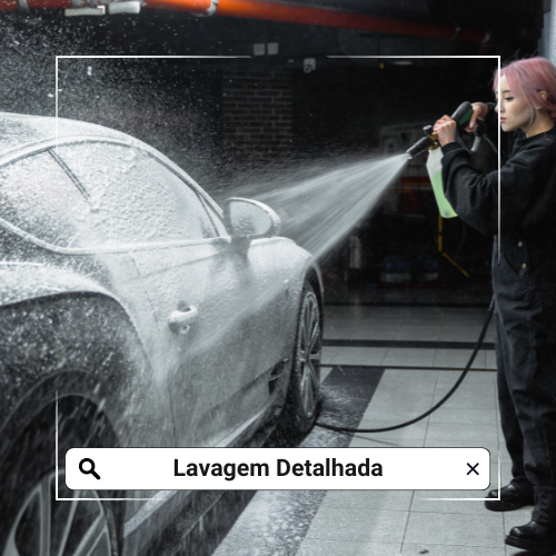 Lavagem Detalhada